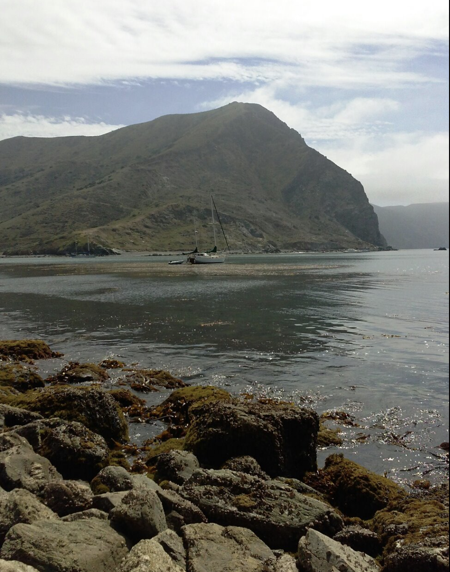 Screen Shot 2021-03-07 at 5.47.03 PM.png