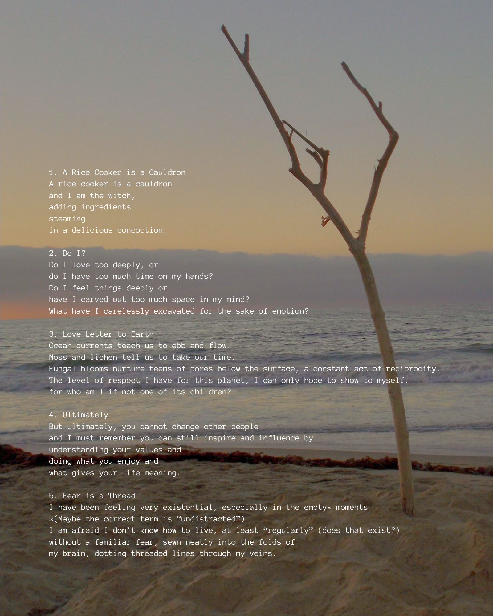 nature is the closeset.png