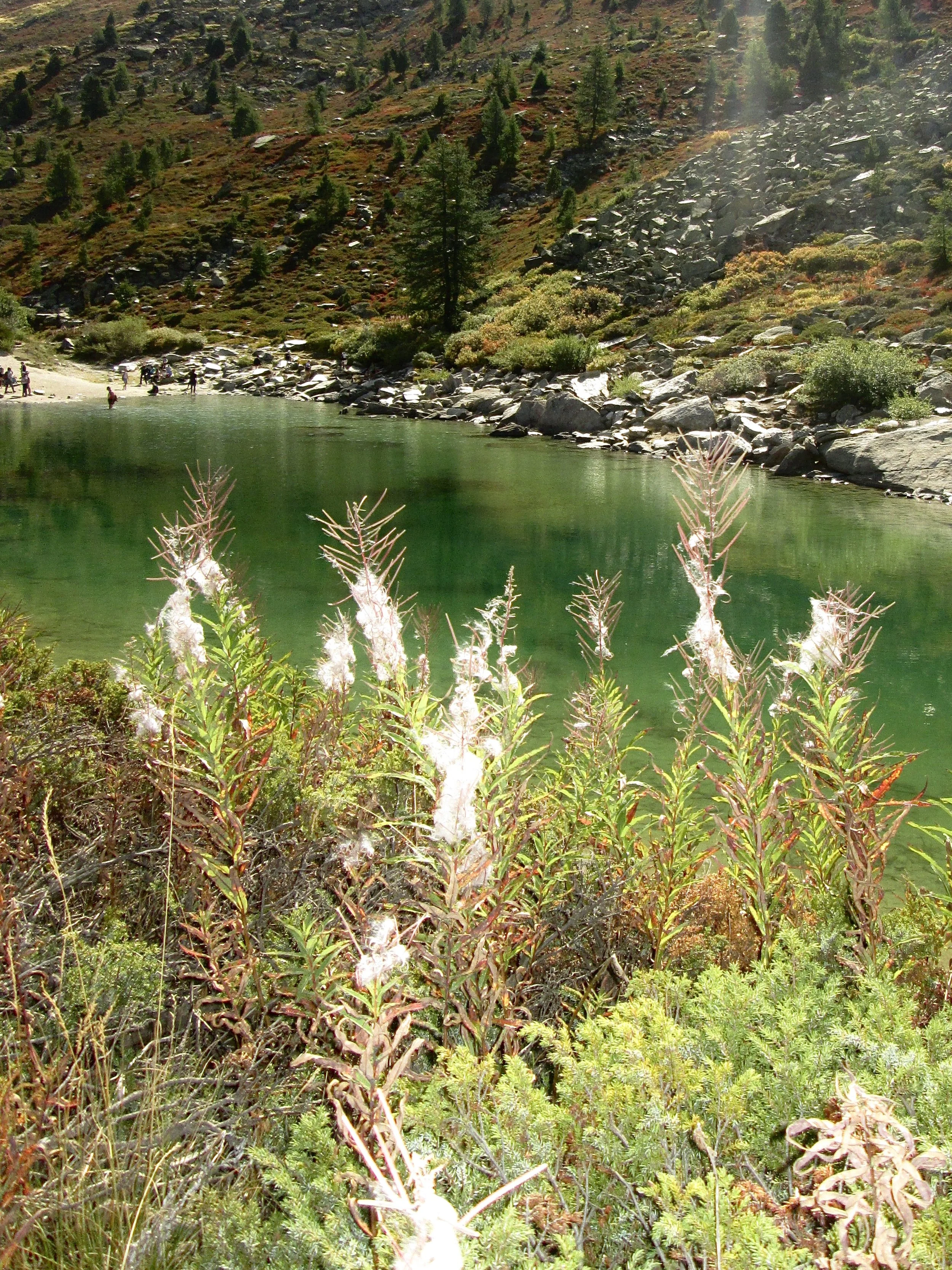 IMG_8120.jpg