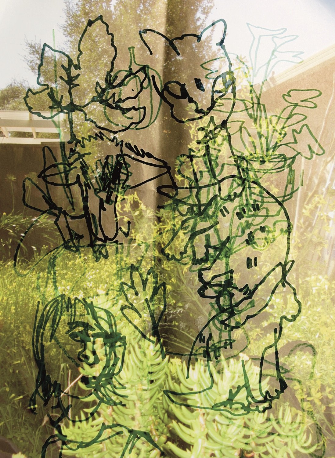 strange things will happen.jpeg