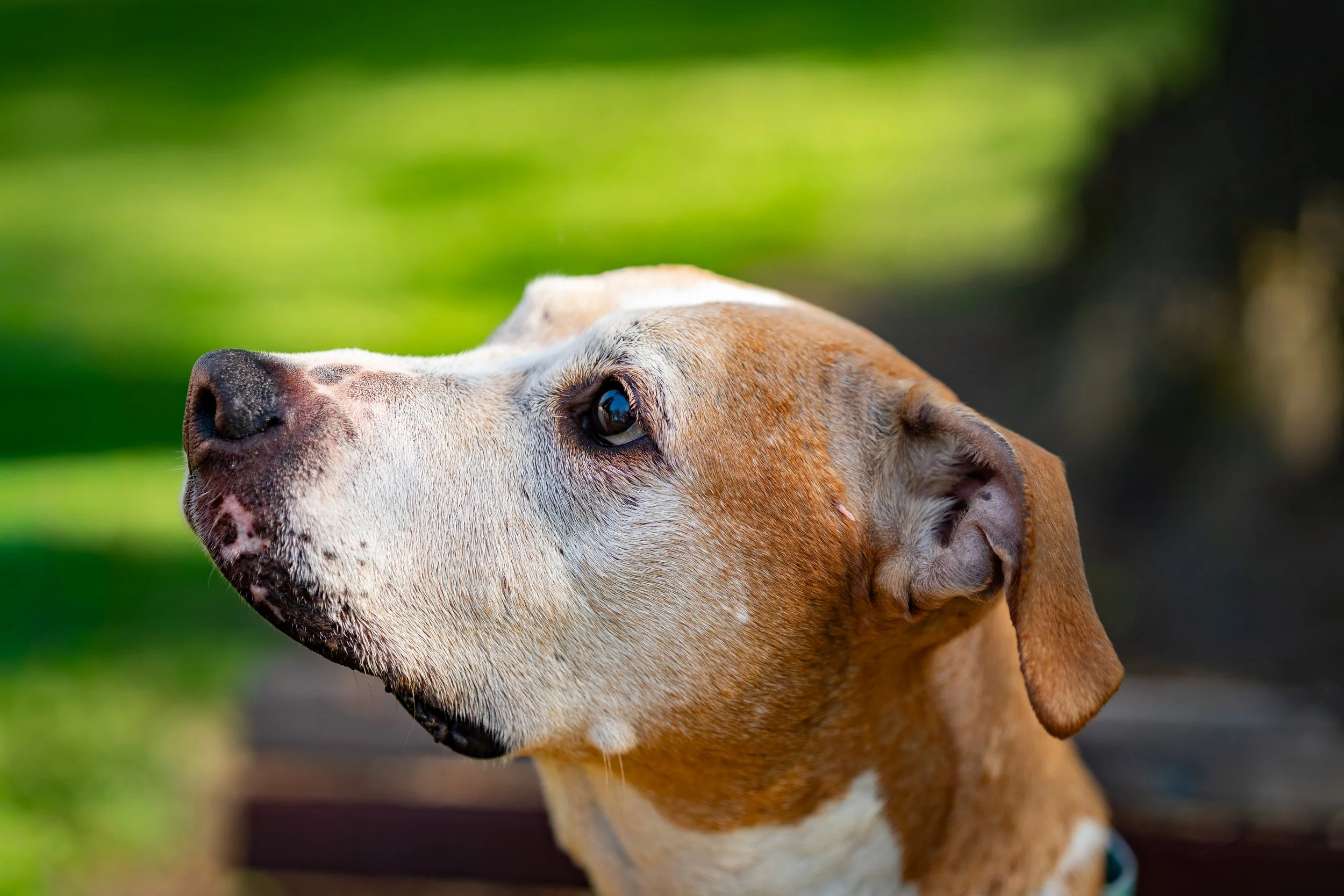 Jo_Pup_2026-16.jpg