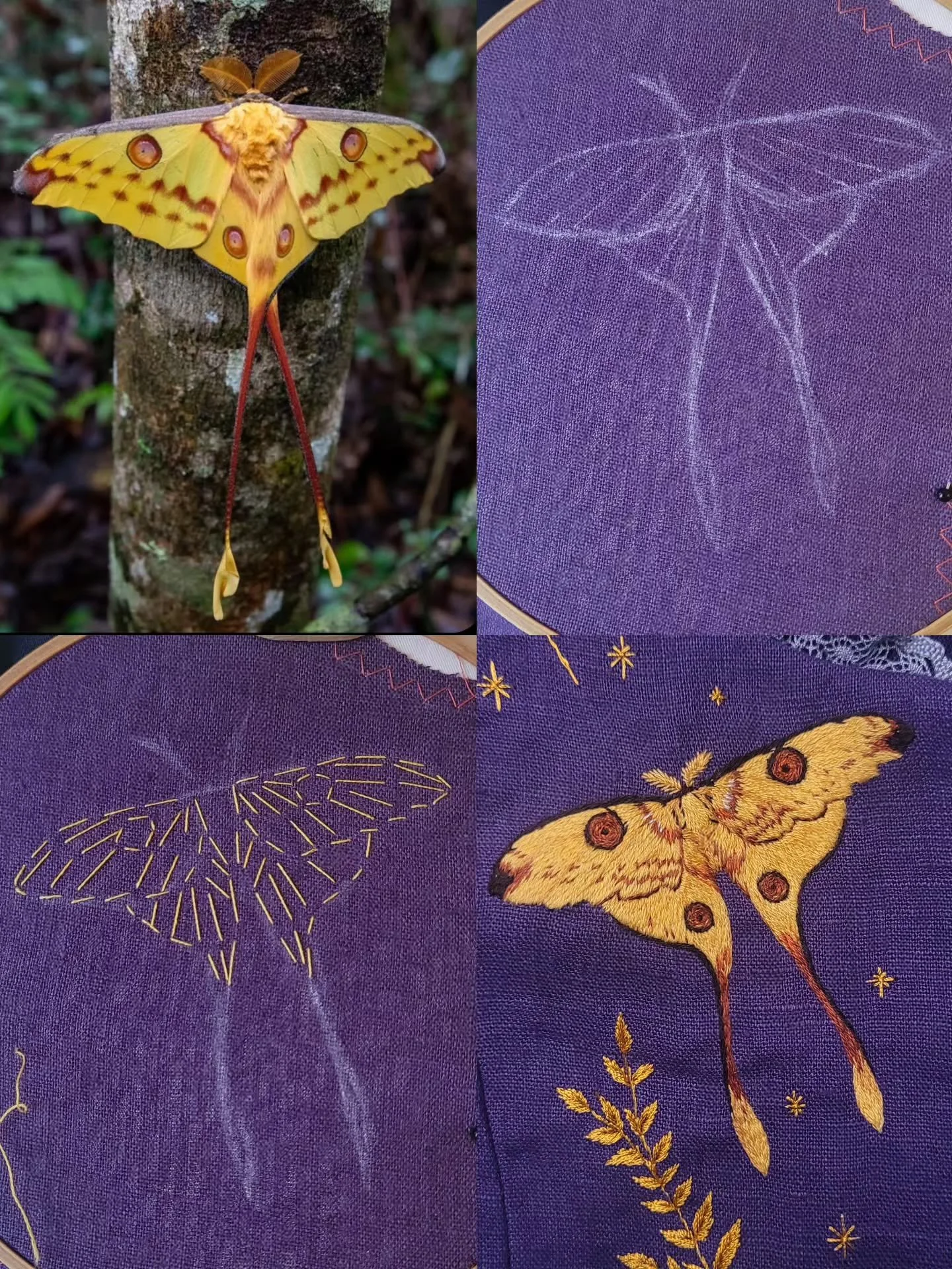 From reference picture to the final embroidery! 🪡✨️

I prefer to make a quick scetch of what I'm going to embroider and then just start making it.
I first start by roughly planning what direction the stitches need to go and what colors go where and 