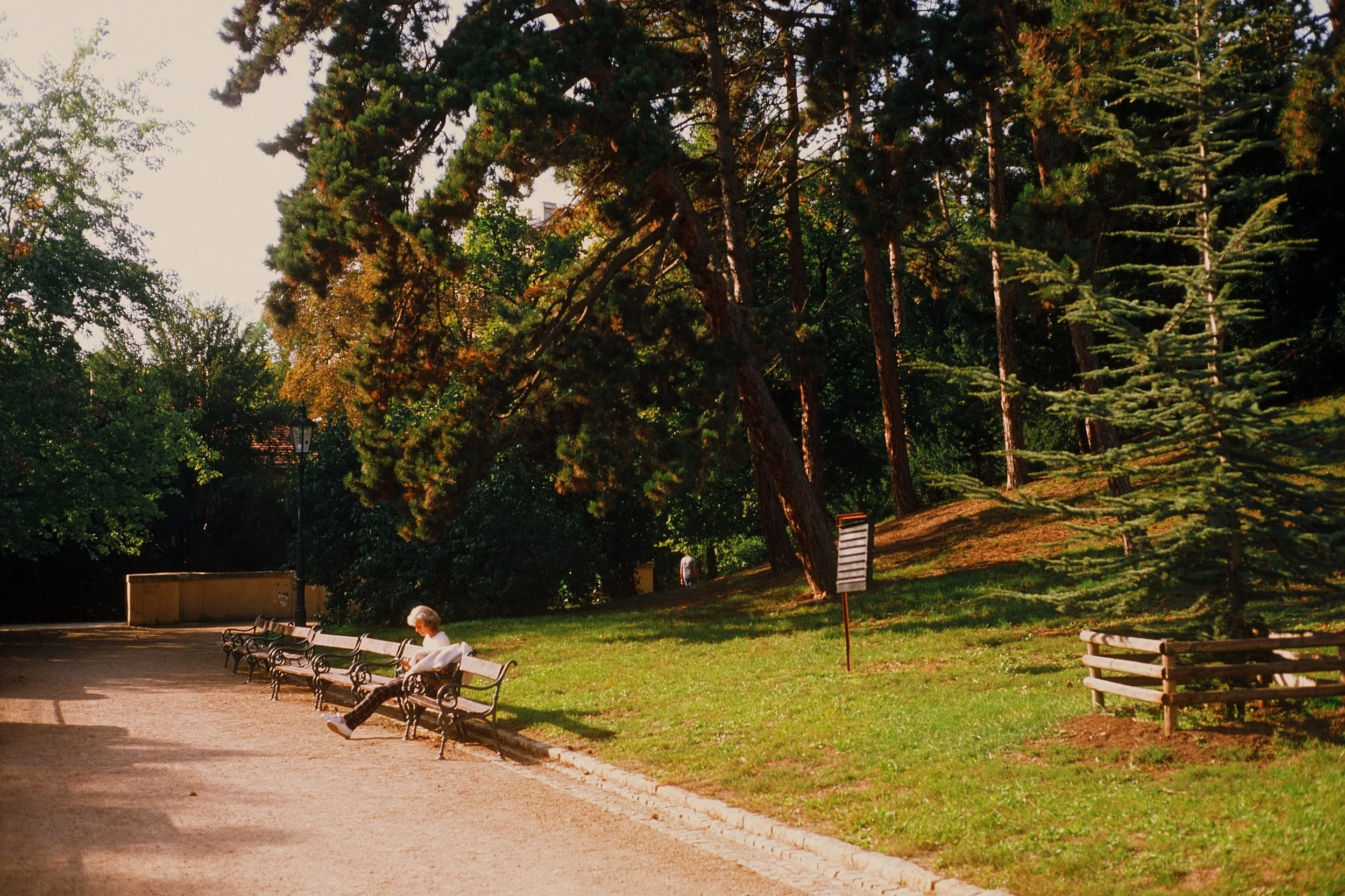 000019940018.jpg
