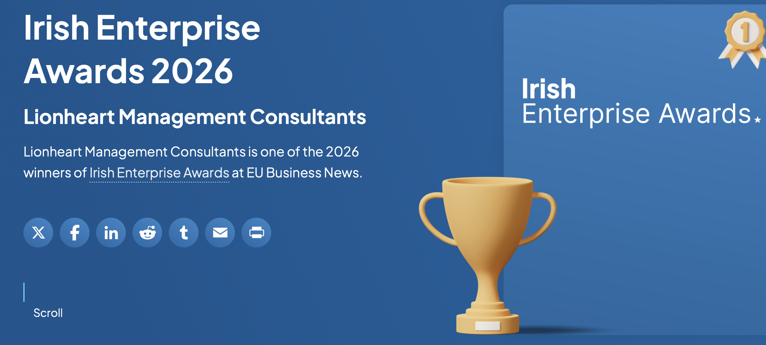 Lionheart Wins 2026 Irish Enterprise Award