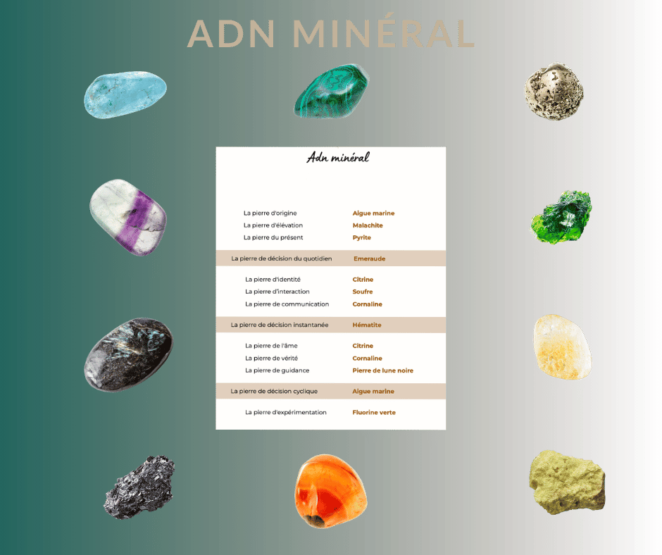 Aperçu d'un ADN minéral avec les 13 pierres