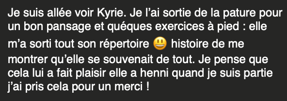 Extraits de témoignages écrits de femmes ayant retrouvé confiance, apaisement et une relation de rêve avec leurs chevaux