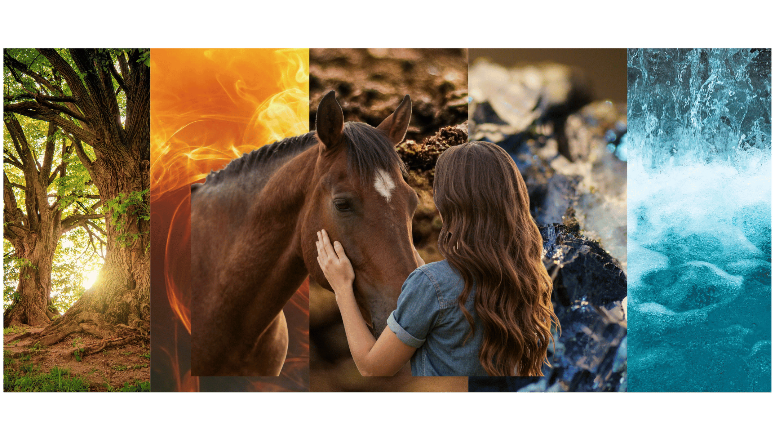 quiz gratuit pour découvrir la dynamique de ton duo cheval et femme