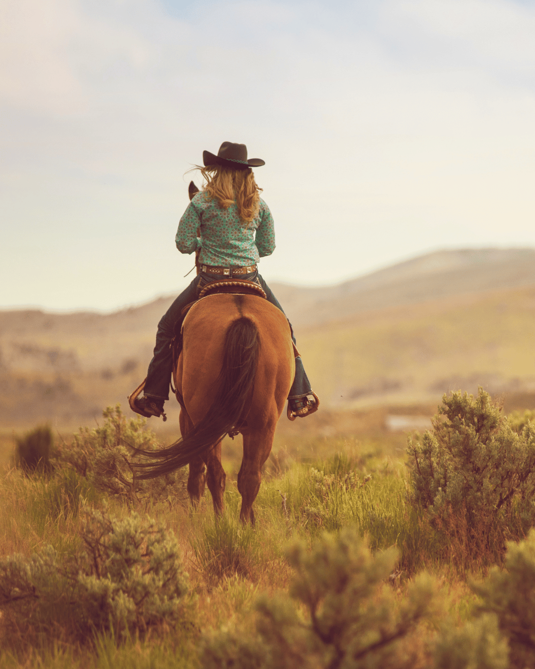 Les 5 éléments en action : comment tu réagis avec ton cheval… sans même t’en rendre compte