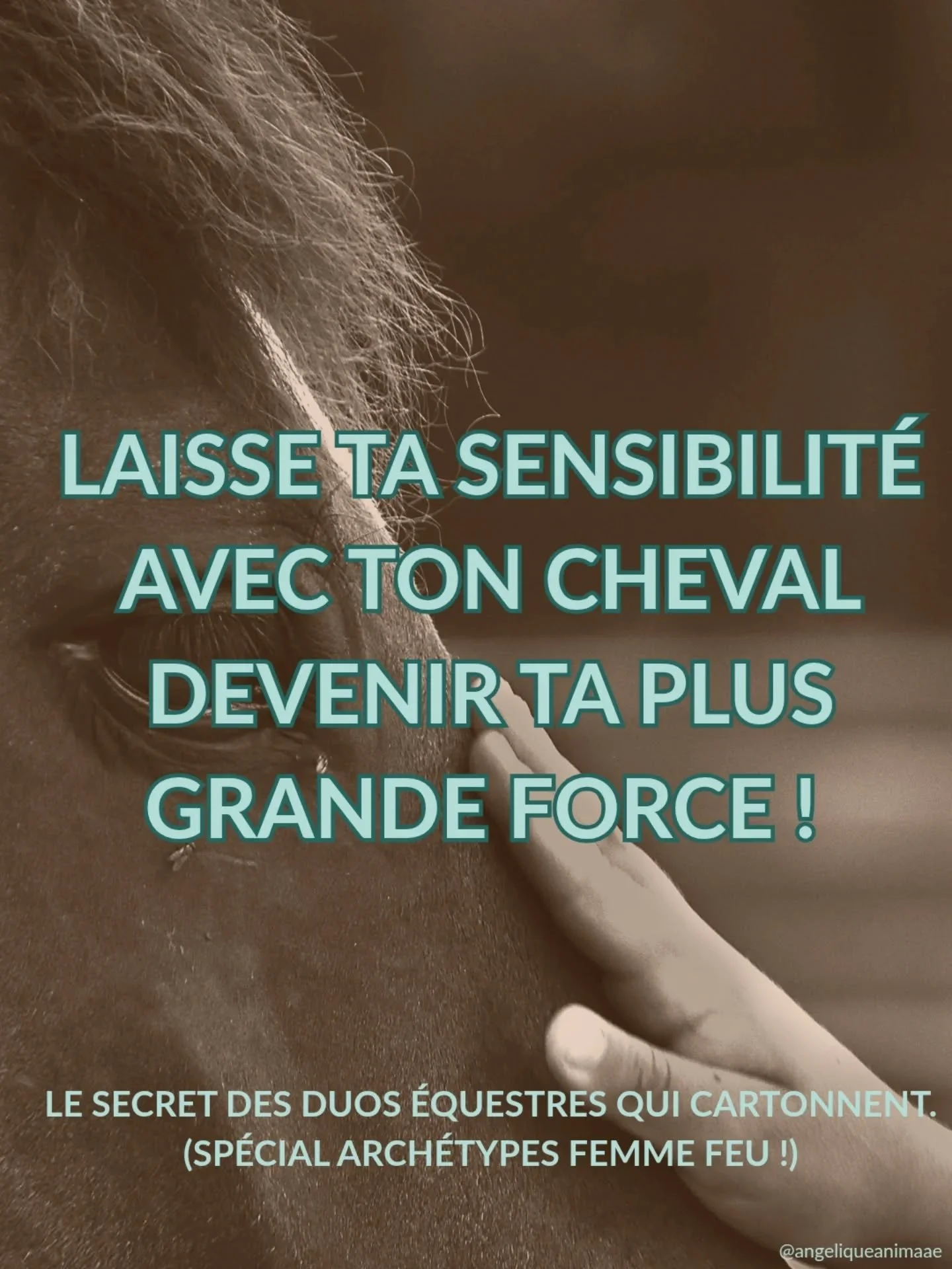 &Ecirc;tre une femme hypersensible &amp; passionn&eacute;e (Arch&eacute;type de la Femme FEU), &ccedil;a implique d'avoir une belle intensit&eacute; &eacute;motionnelle !

Mais attention : cette &eacute;nergie ON FIRE doit parfois &ecirc;tre un peu c