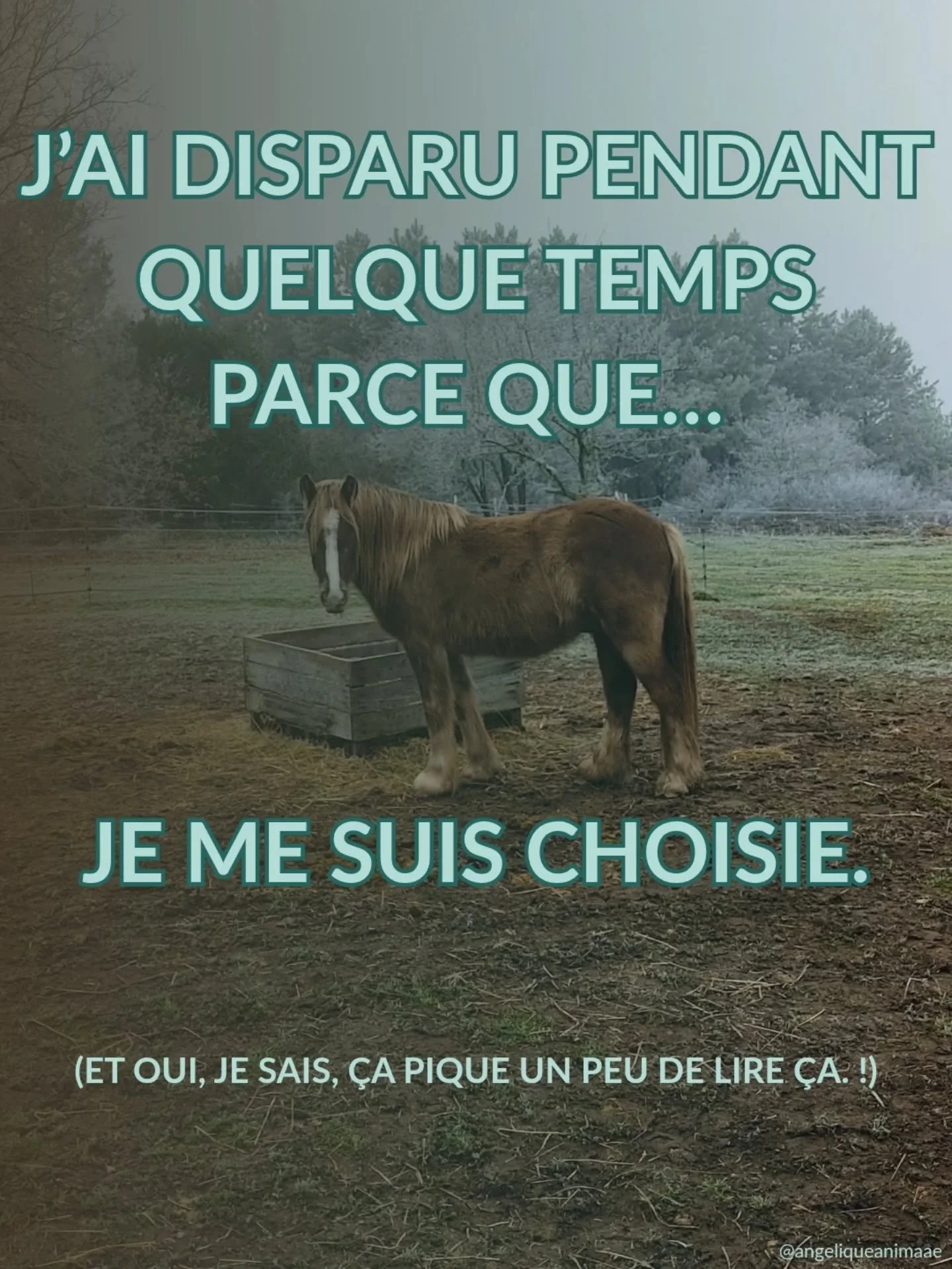 Spoiler : Je ne f&ecirc;te pas le 1er janvier.

Pourquoi on s&rsquo;inflige ce simulacre social tous les ans ? Cette pression de la f&ecirc;te forc&eacute;e, des r&eacute;solutions jetables et des "Bonne ann&eacute;e" envoy&eacute;s par des