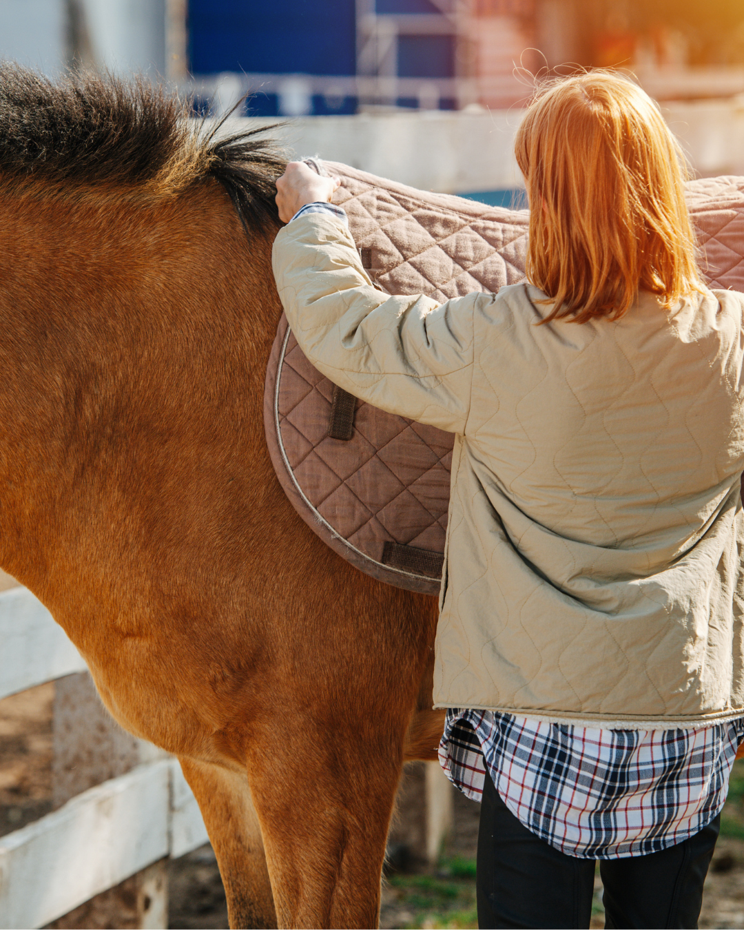 Le fameux "Tapis Magique" : Comment tes croyances dictent tes résultats avec ton cheval