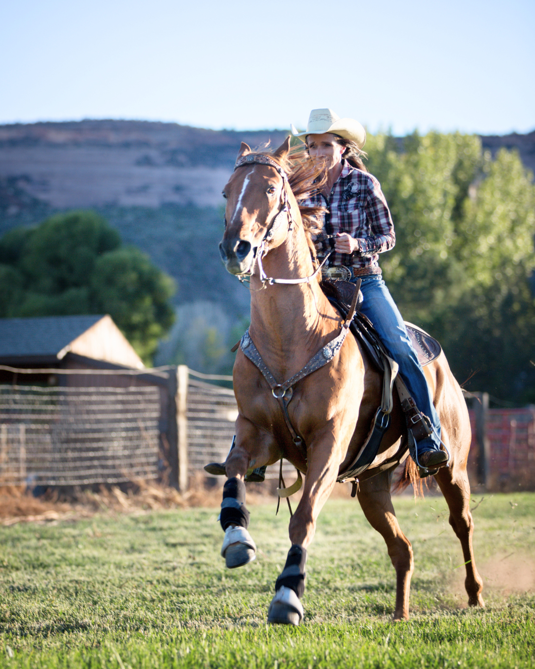 Comment booster ton énergie et celle de ton cheval avec l'énergie du printemps !