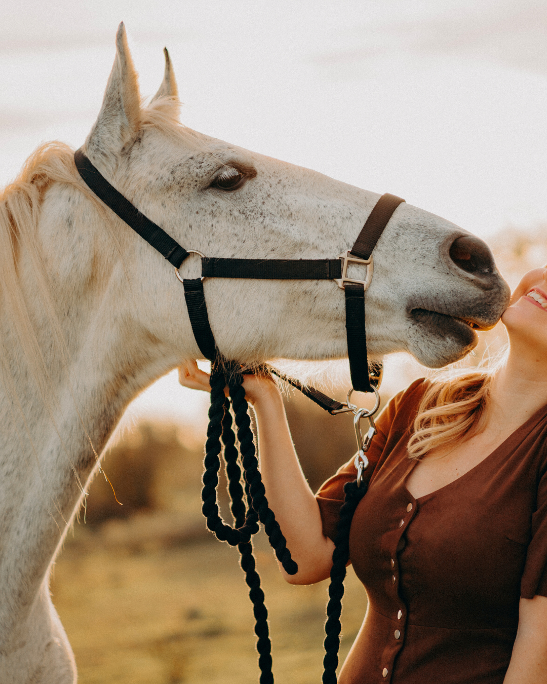 Pourquoi poser tes limites avec ton cheval va t'aider dans ta vie de tous les jours ?