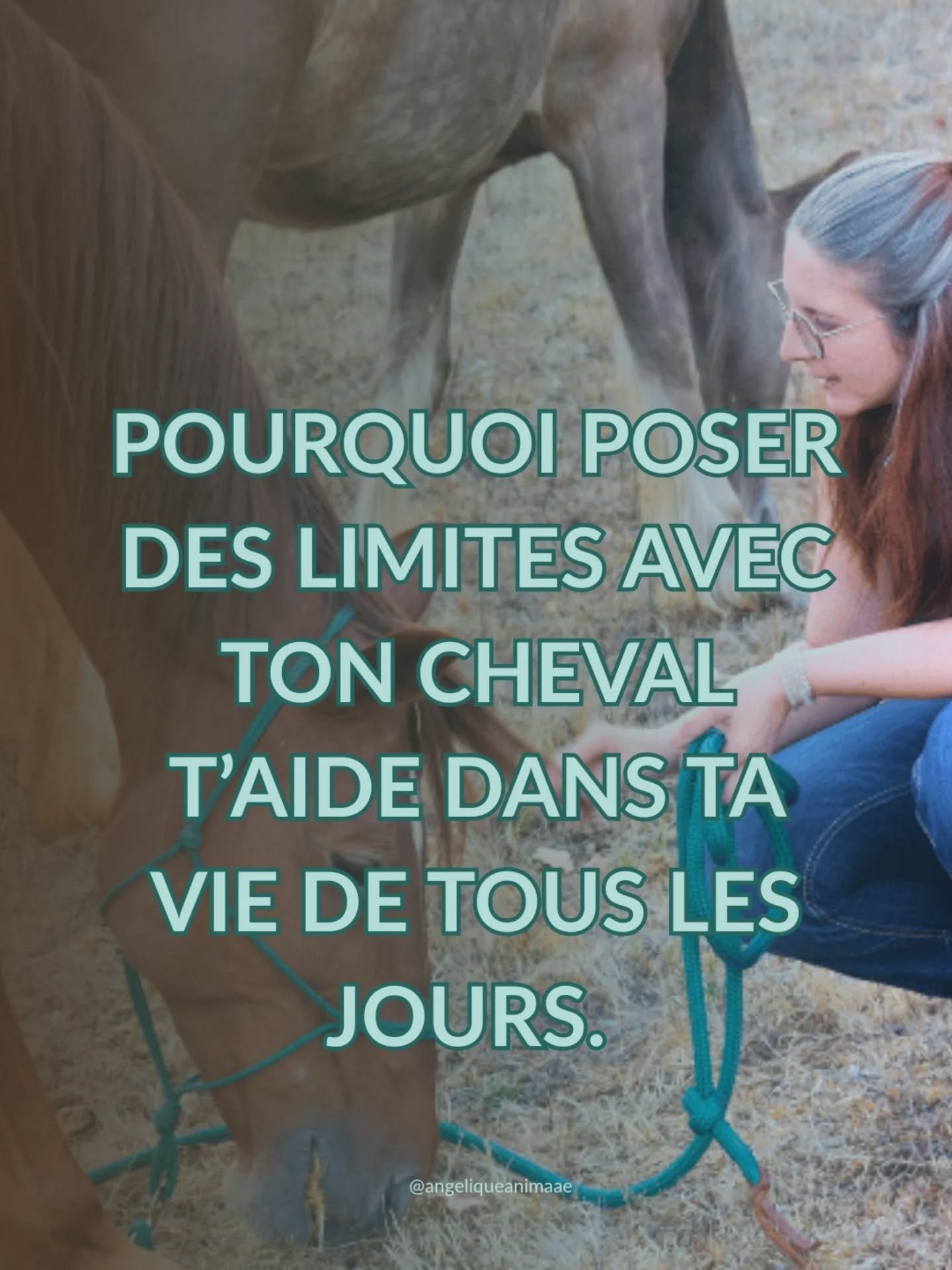 Est-ce que tu as d&eacute;j&agrave; remarqu&eacute; que la mani&egrave;re dont ton cheval se comporte avec toi est le reflet de ce qui se passe dans ta vie ?

Je sais, &ccedil;a pique un peu. Mais s&rsquo;il y a un truc que j&rsquo;ai appris avec Pri
