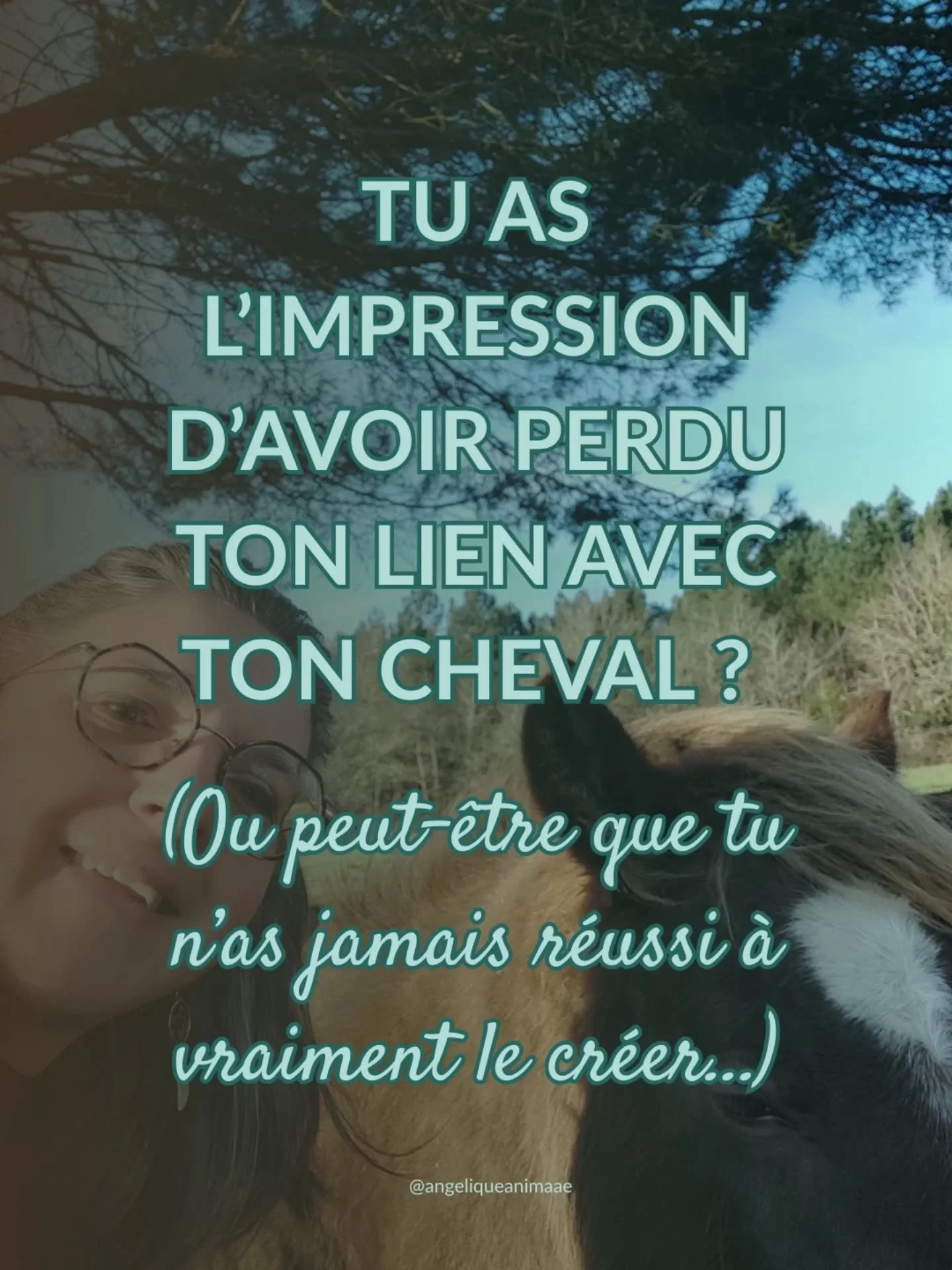 Tu as tout essay&eacute; avec ton cheval. Les stages, les livres, les nouveaux exercices... Et pourtant, tu as toujours cette sensation de passer &agrave; c&ocirc;t&eacute; de ton lien avec lui.

Pire : tu as l'impression qu'il te fuit. 

Quand tu ar