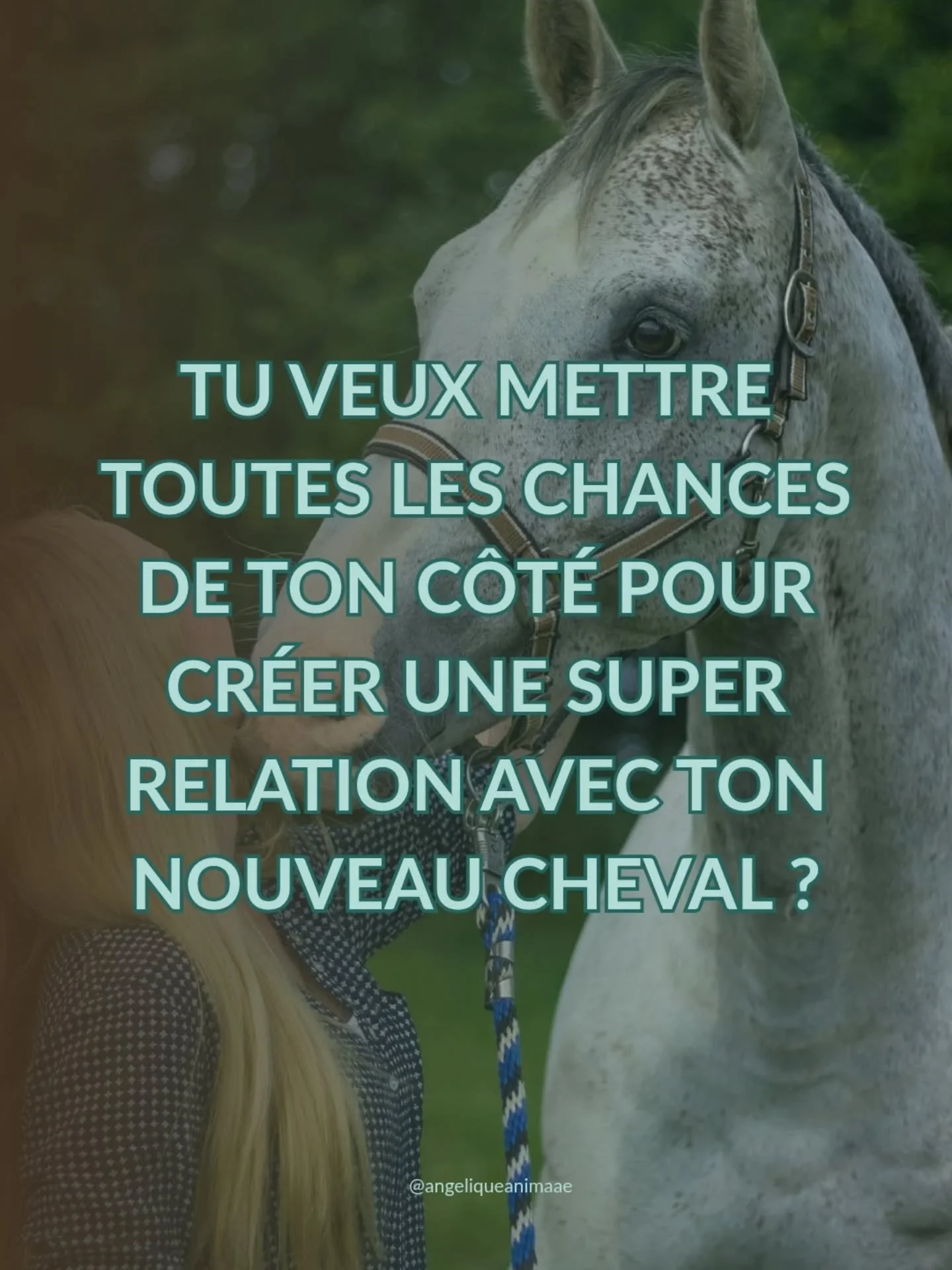 Tu es toute contente, &ccedil;a y est : ton nouveau cheval est l&agrave; ! 

Tu es fi&egrave;re, tu en parles &agrave; tout le monde, tu le montres &agrave; tout le monde et tu r&ecirc;ves que tout soit simple et fluide d&egrave;s le d&eacute;part. S