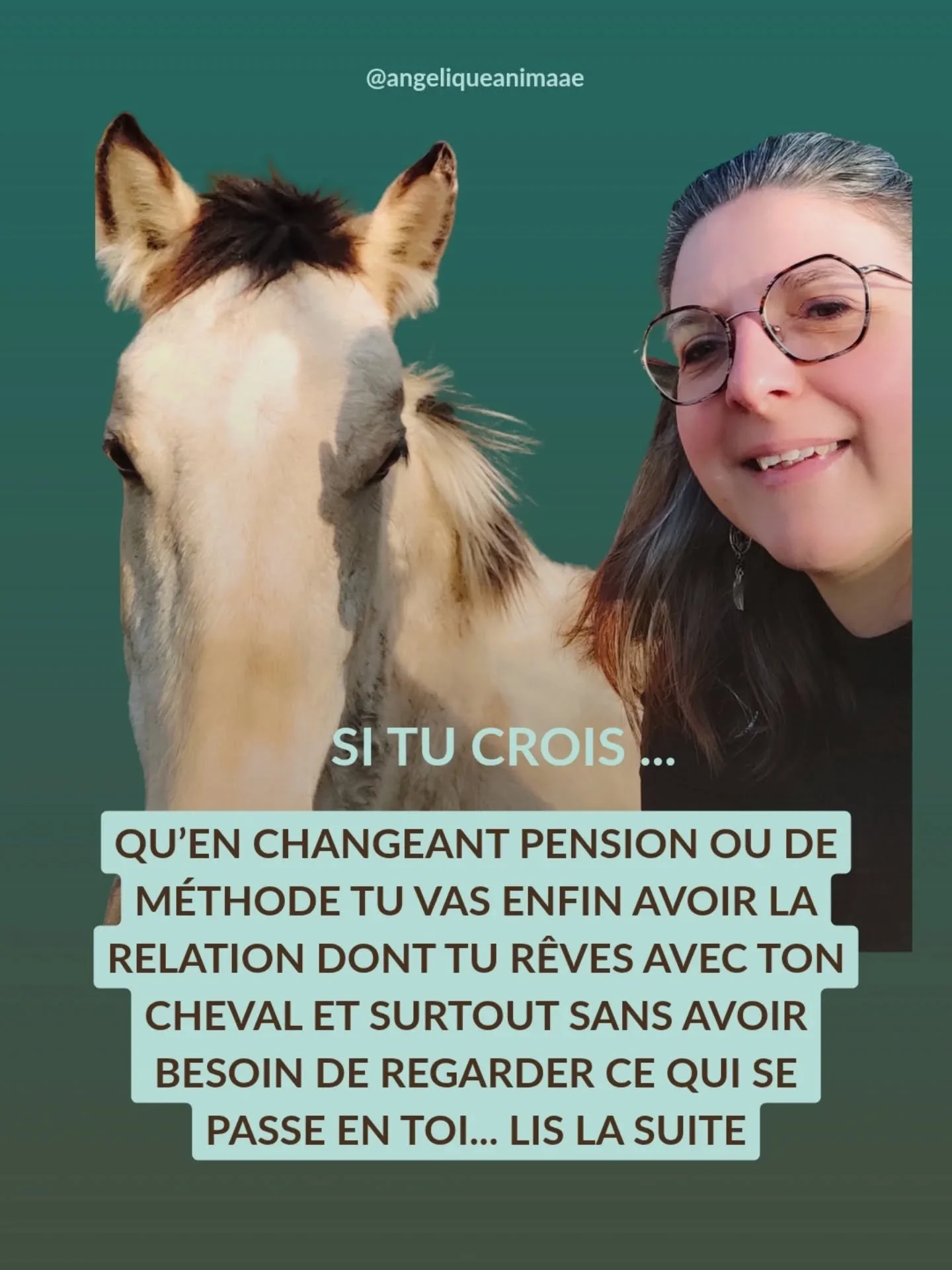 Tu peux tout changer autour de ton cheval&hellip; si tu ne regardes jamais ce qui part de toi, tu finiras toujours au m&ecirc;me point.

Tu vois le cercle vicieux ? Tu changes de pension. Tu t&rsquo;inscris &agrave; un &eacute;ni&egrave;me stage.

Su