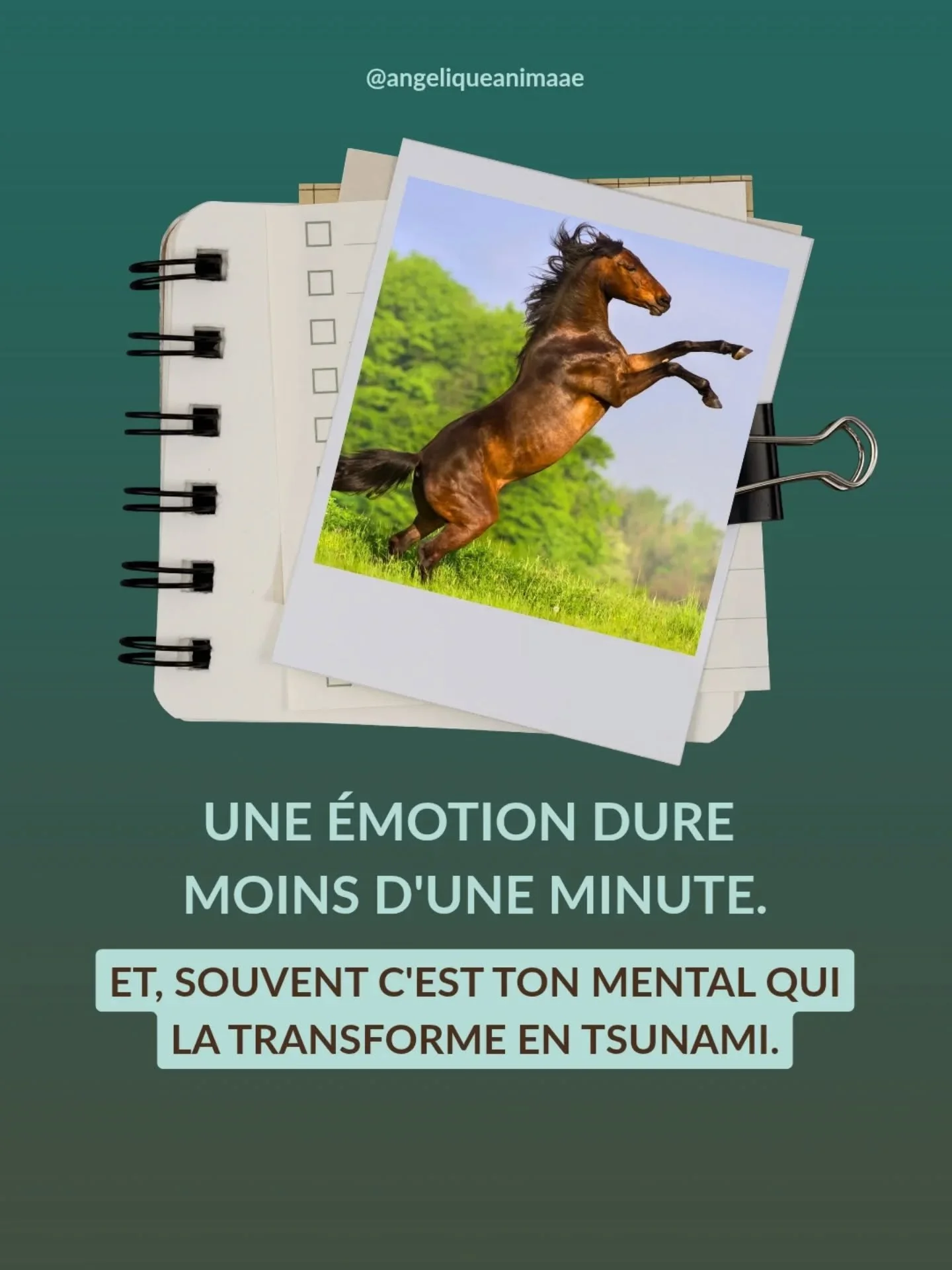 Il y a quelques ann&eacute;es, j'avais une p&eacute;riode de dingue au labo.

On &eacute;tait en p&eacute;riode d'accr&eacute;ditations, le stress montait, on avait la pression de partout... et je prenais sur moi, enfin, j'essayais. 

Parce que quand