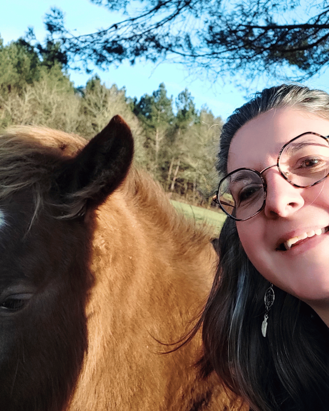 Mes chevaux, mes miroirs : ce qu'ils disent de moi