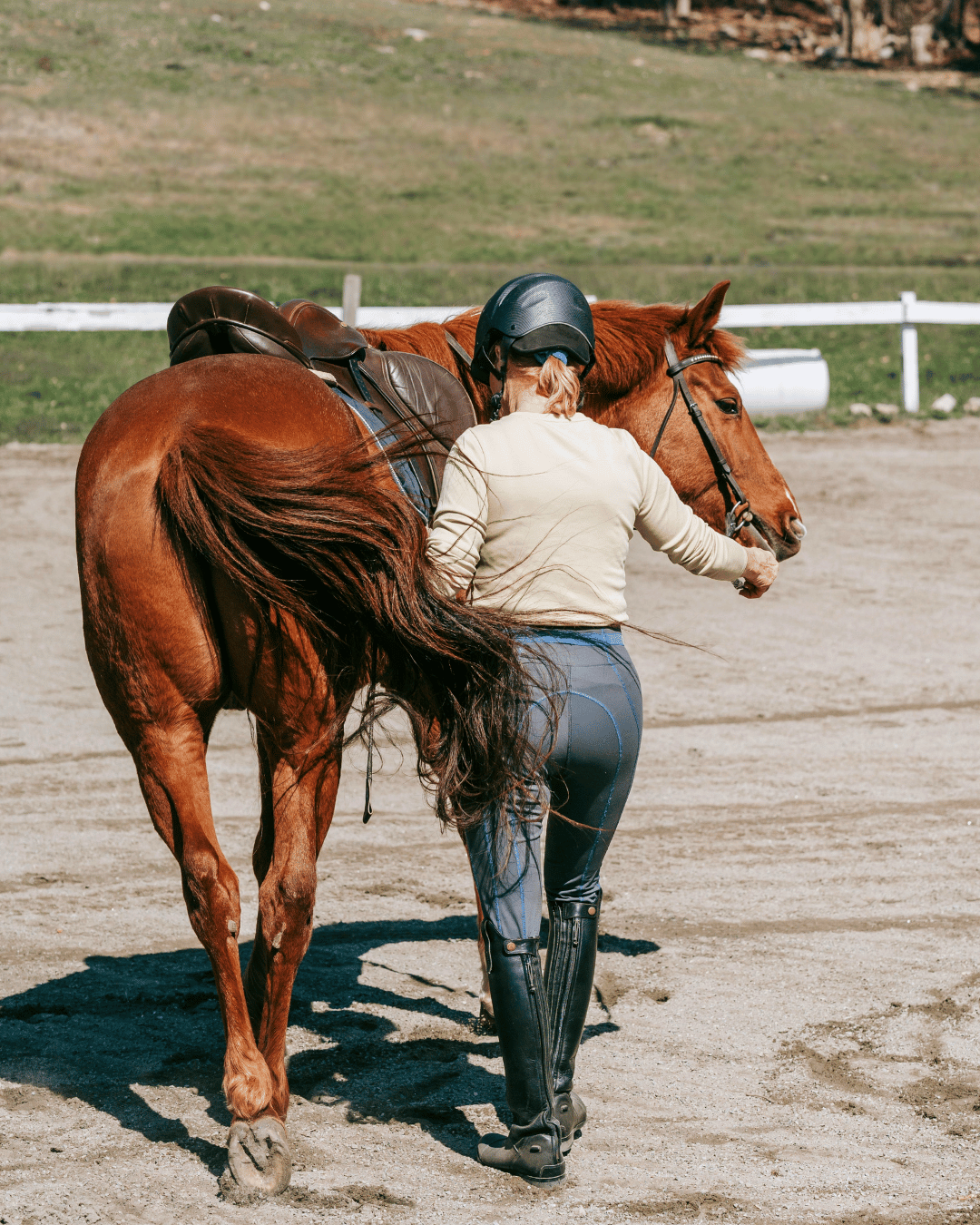 Tout ce qui t'énerve chez ton cheval parle de toi