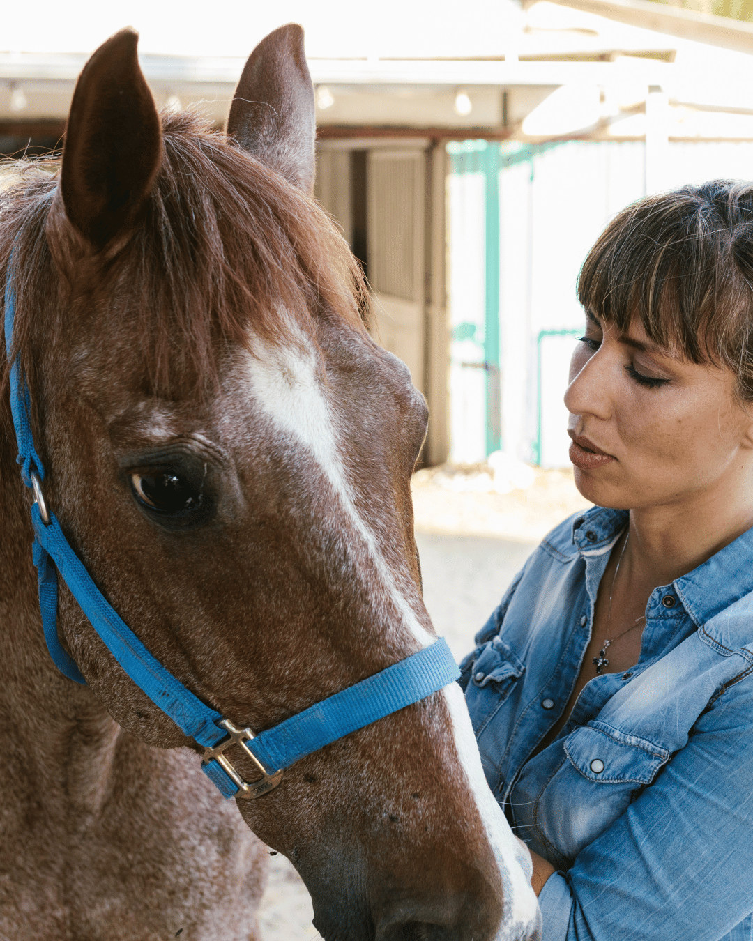 Le jour où j'ai réalisé que je n'avais aucun protocole d'urgence pour mes chevaux
