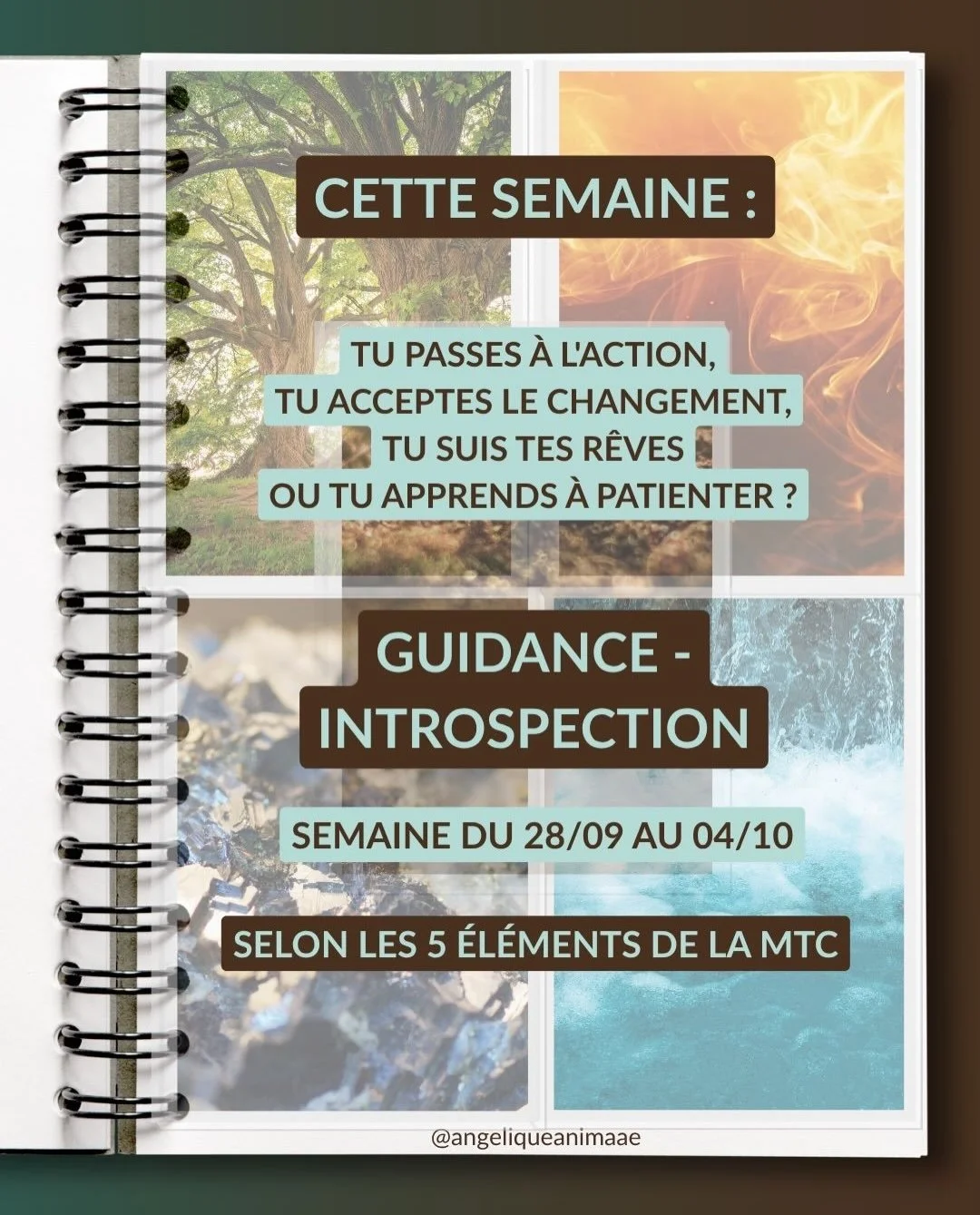 Cette semaine tu passes &agrave; l&rsquo;action, tu accueilles le changement, tu t&rsquo;envoles vers tes r&ecirc;ves ou tu apprends &agrave; patienter ?

Selon ton &eacute;l&eacute;ment dominant en m&eacute;decine traditionnelle chinoise (Bois, Feu,