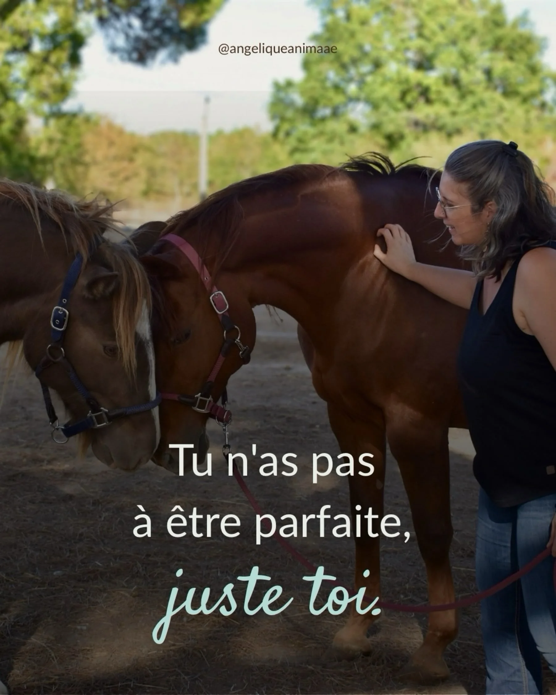 Quand ma jument est arriv&eacute;e dans ma vie, je voulais &ecirc;tre la propri&eacute;taire parfaite.

Enfin, &laquo; parfaite &raquo;&hellip; disons que je voulais tout faire bien, tout le temps, et surtout ne rien rater. 😅

Sauf que je savais vag
