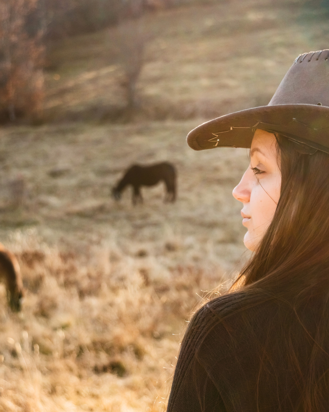 Tu as le droit de ne pas aller voir ton cheval