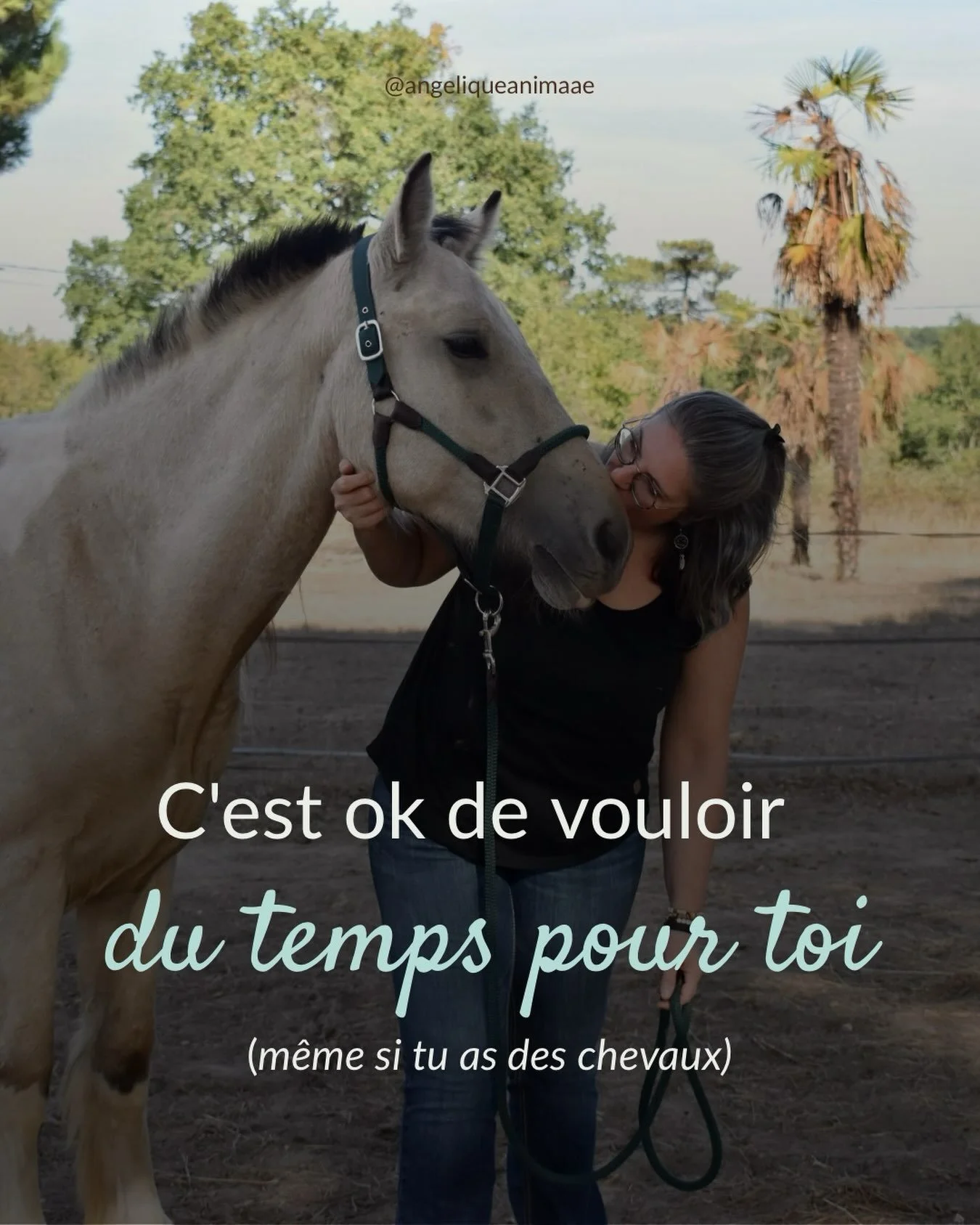 Je reviens de 4 jours de stage, 4 jours sans r&eacute;seau, presque sans internet&hellip; et sans mes chevaux. 😅

J&rsquo;ai mis longtemps avant d&rsquo;oser partir en &laquo; abandonnant &raquo; mes chevaux.

Quand ma jument &eacute;tait en pension