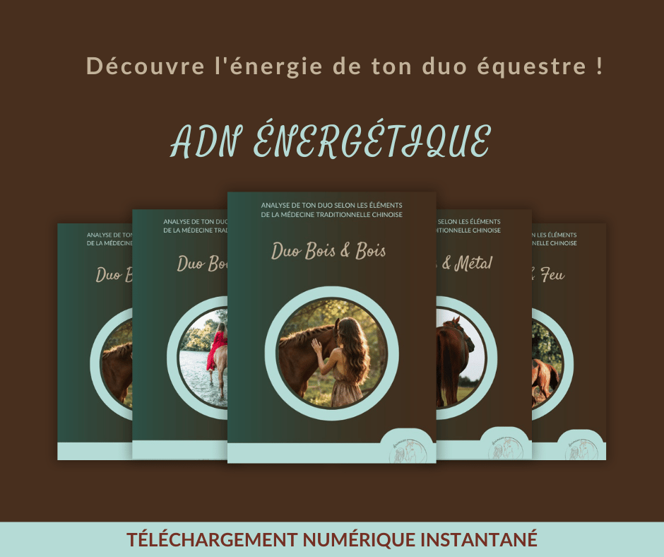 ADN énergétique livret élément Bois