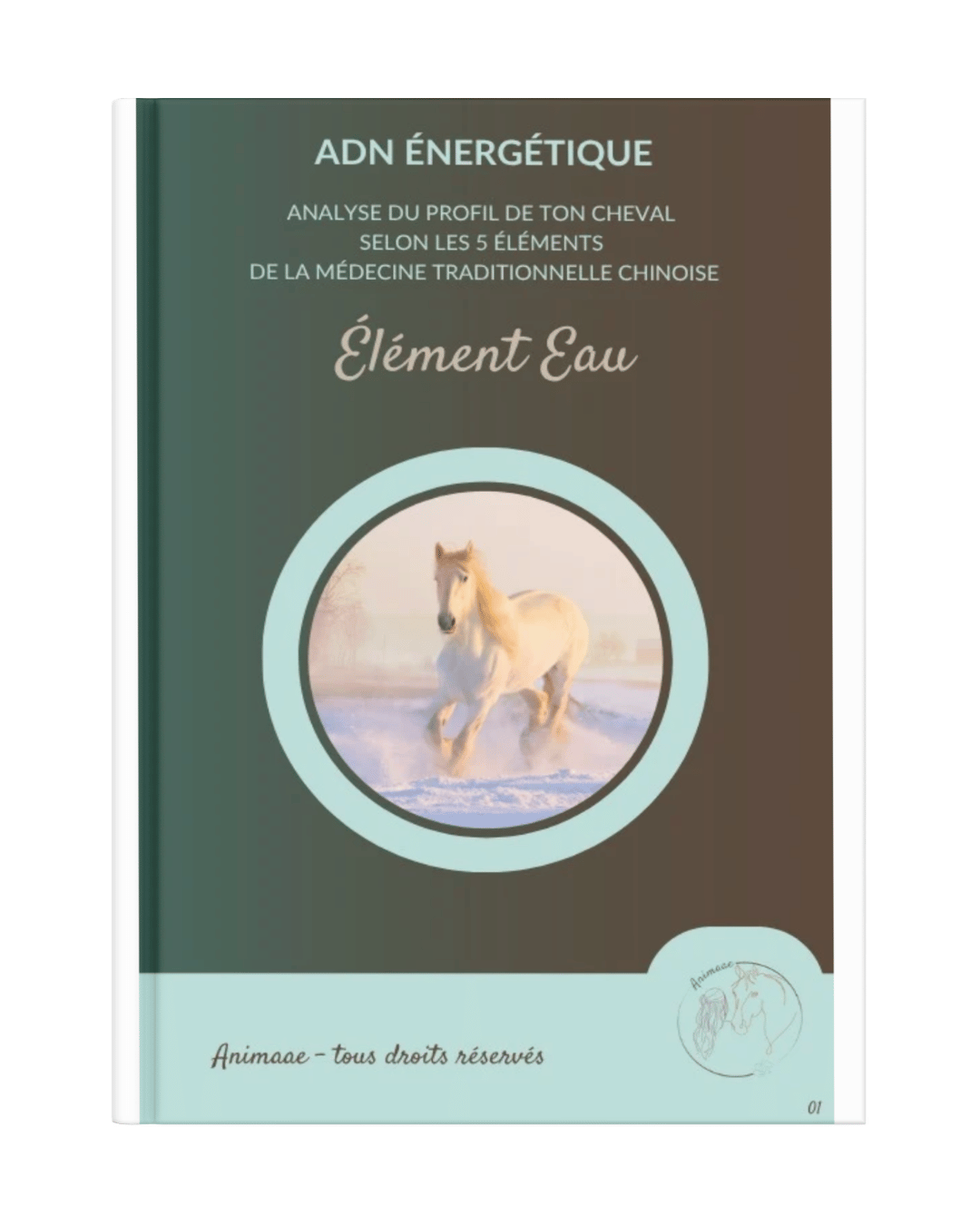 Livret ADN énergétique cheval Eau