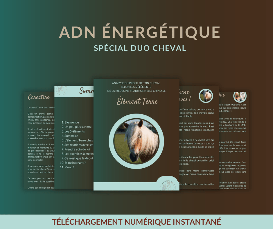 Aperçu du livret PDF ADN énergétique cheval, le profil complet selon son élément