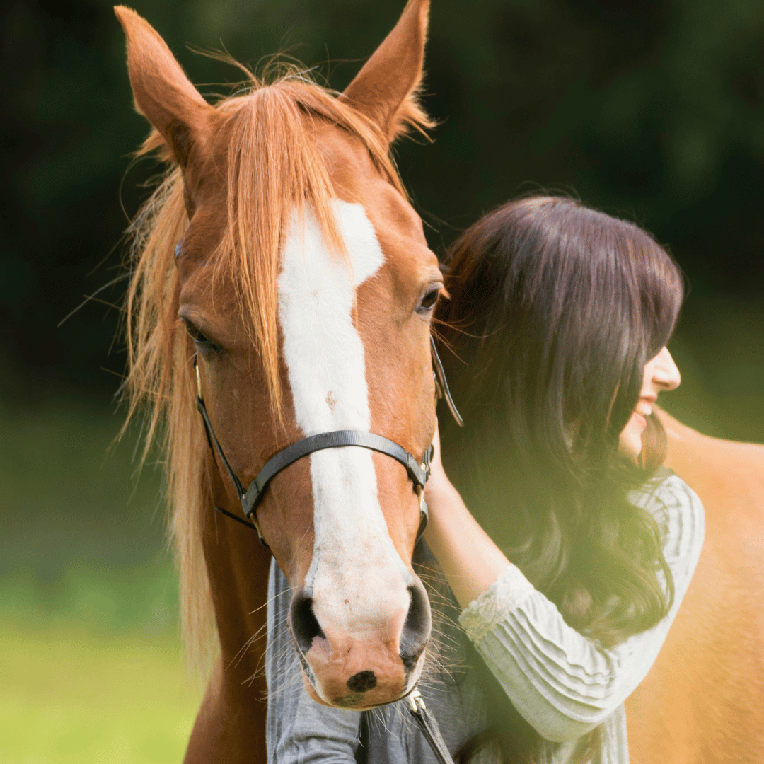 Femme et cheval complices, symbole d'une relation équilibrée et épanouie