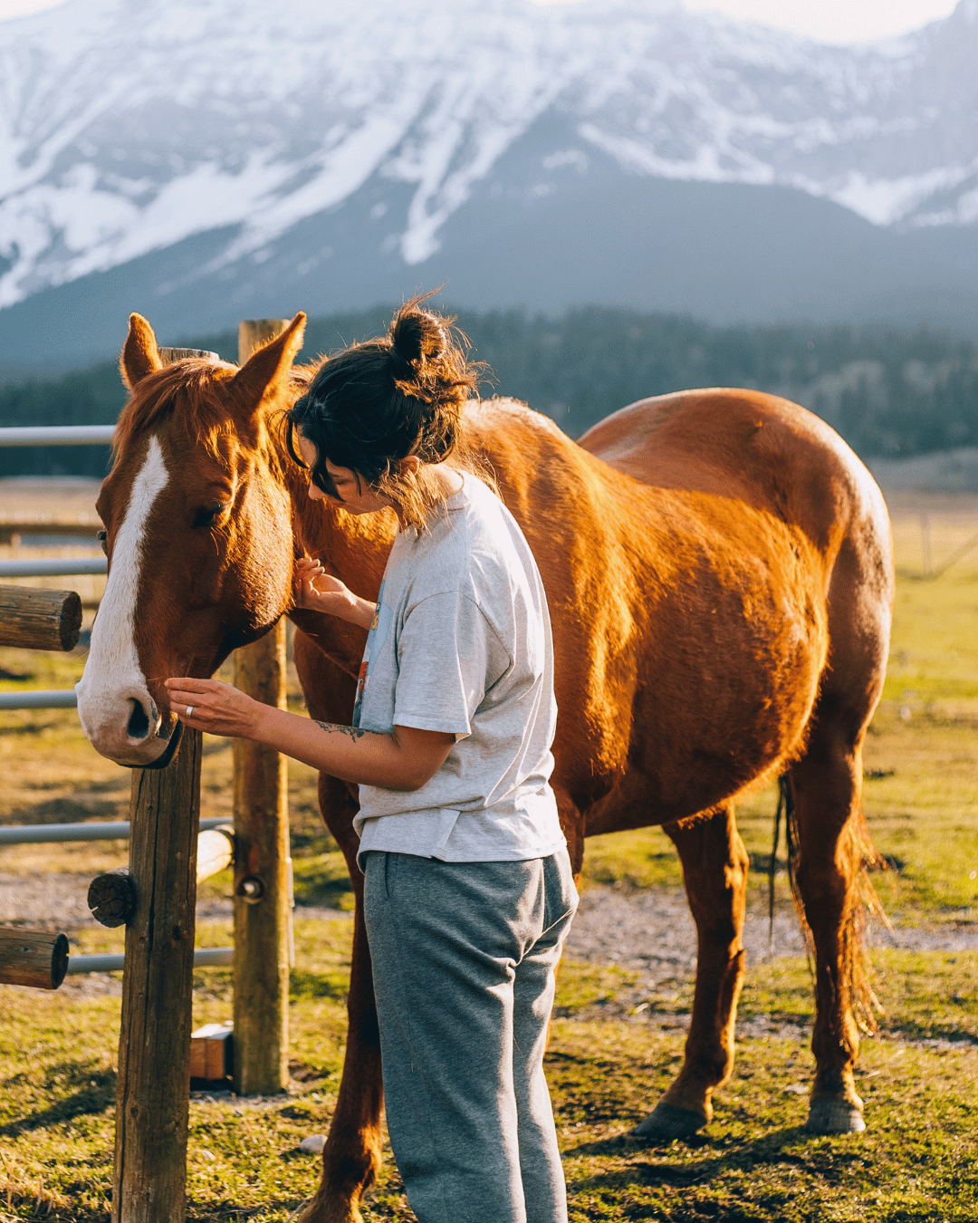 Une femme consciente que tout par d'elle dans sa relation avec son cheval
