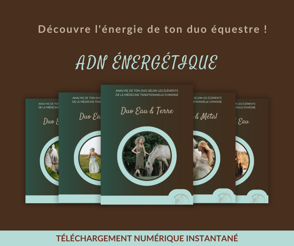ADN énergétique livret Eau