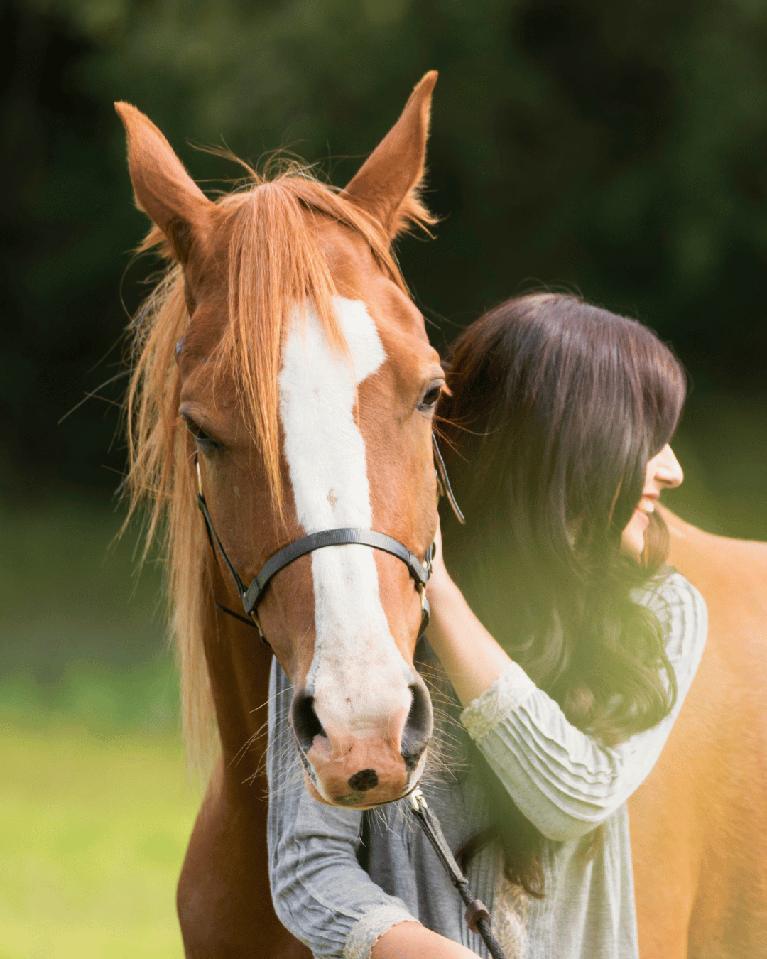 Une femme est son cheval apaisés grâce à la lithothérapie