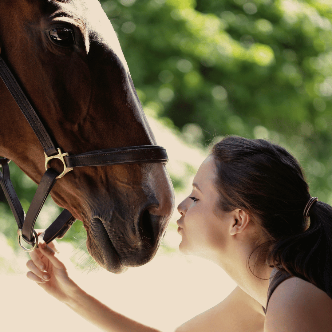 Mise en pratique du principe du cheval miroir dans l'accompagnement Symbiose
