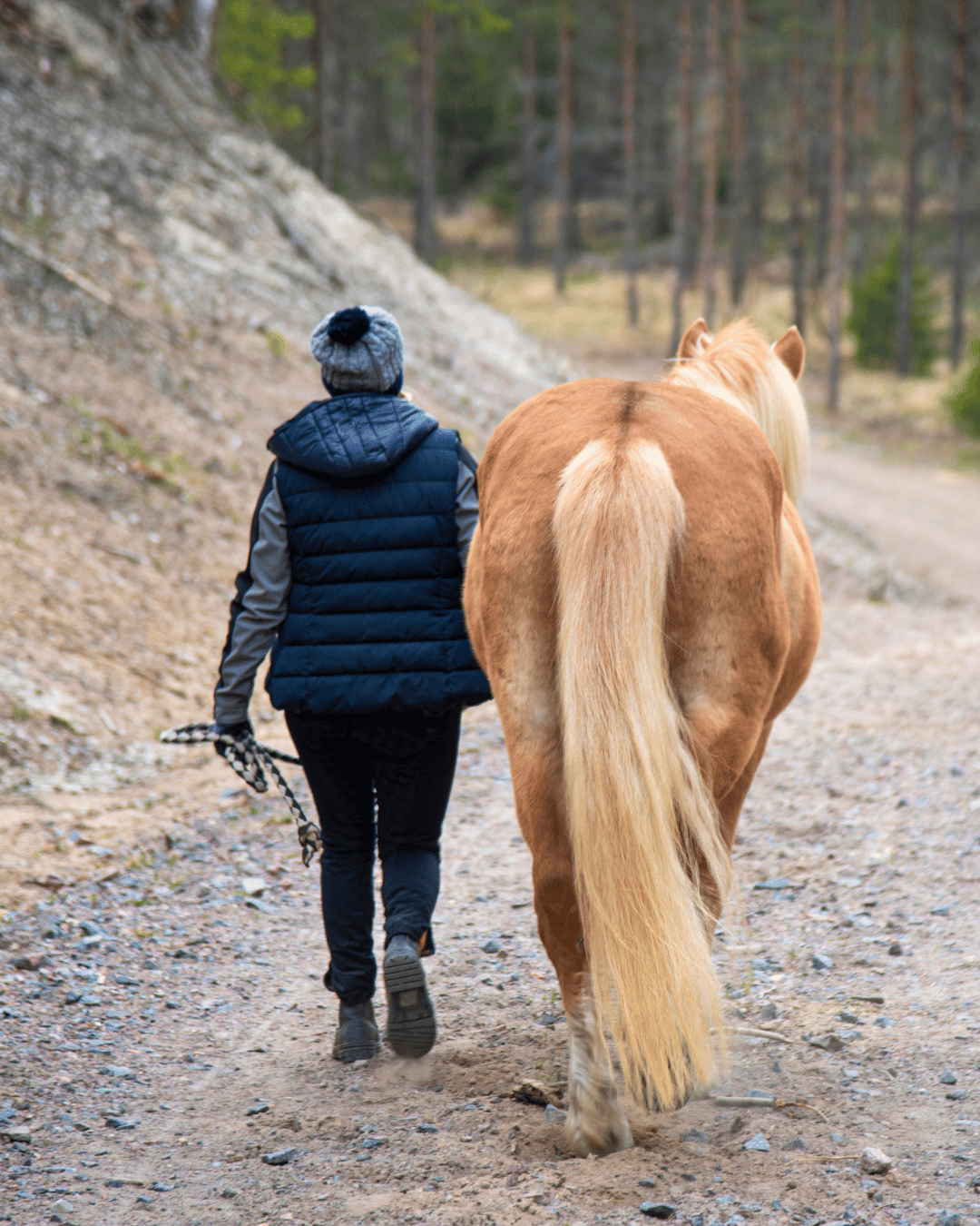 Une femme et son cheval se rendant compte du chemin parcouru