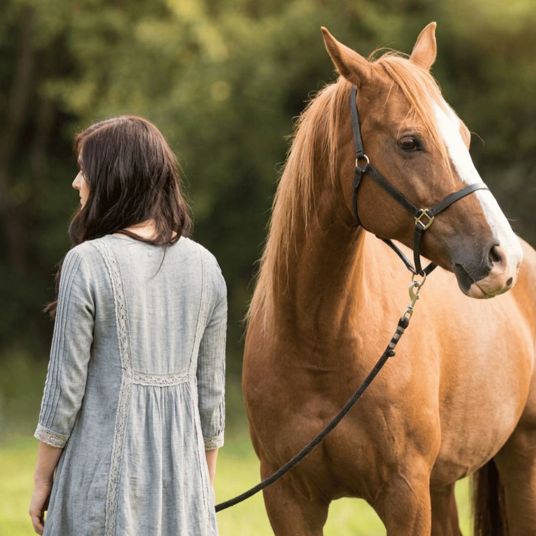 Femme et cheval qui peinent à se comprendre, illustration d'une relation qui coince