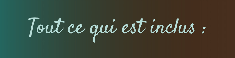 Tout ce qui est inclus dans l'accompagnement symbiose femme cheval