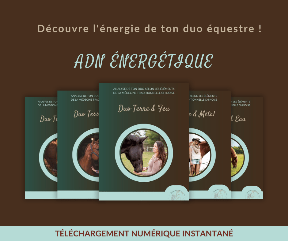 ADN énergétique livret Terre