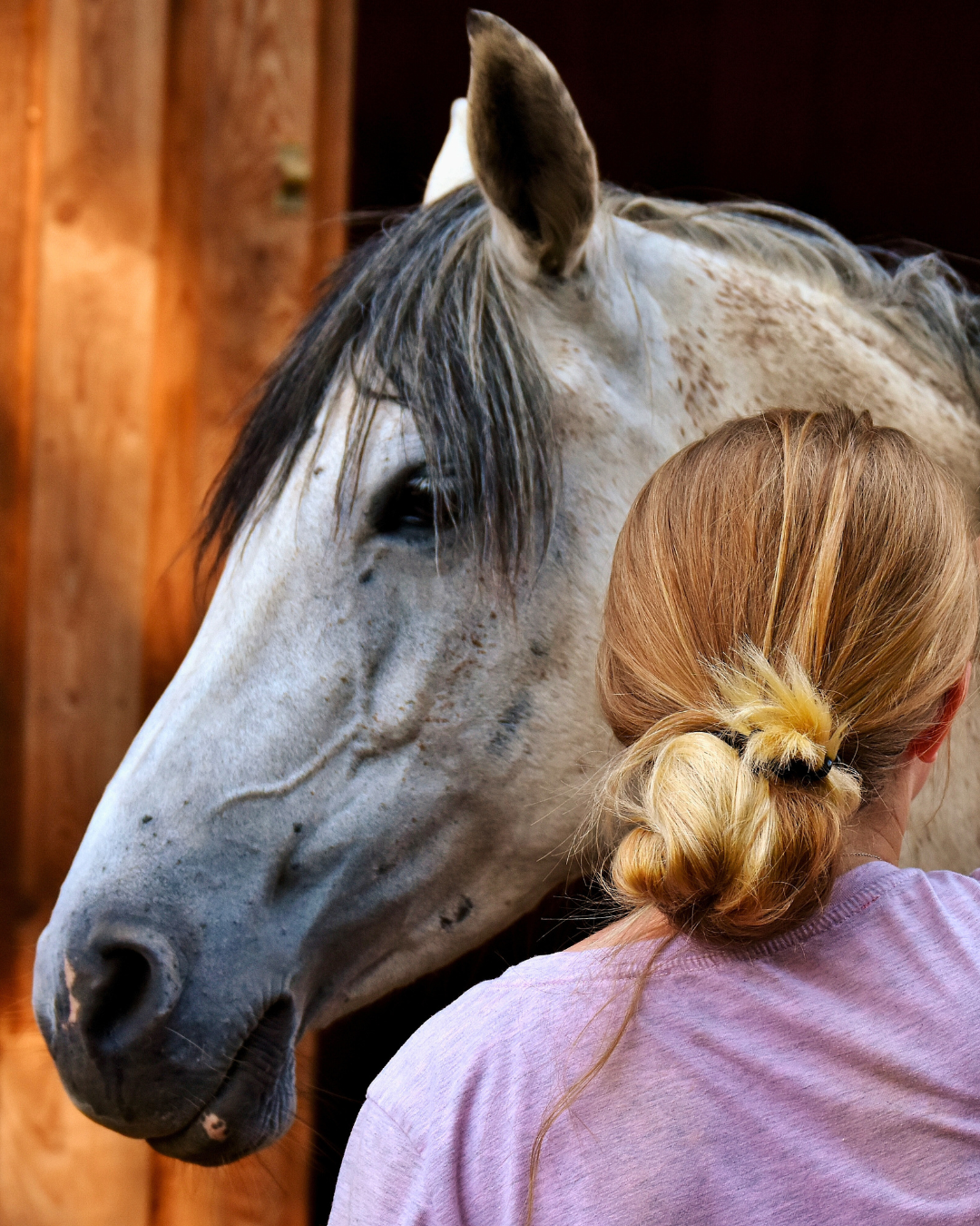 Être une femme Terre : le guide pour une relation réussie avec ton cheval en fonction de son élément.