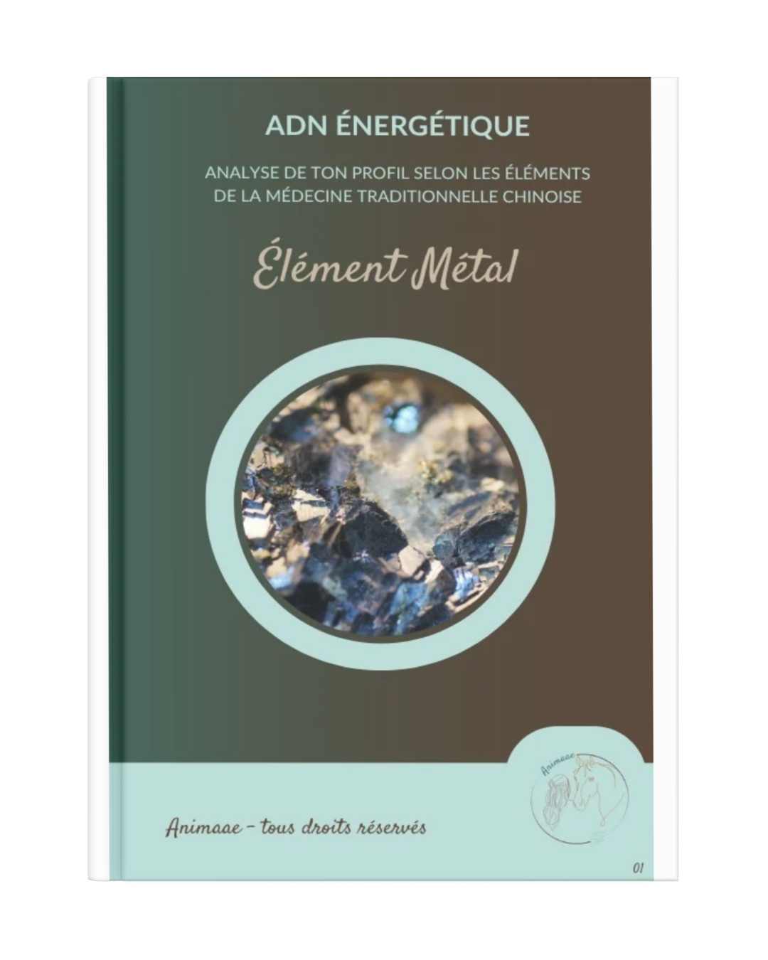 Livret ADN énergétique Femme Métal