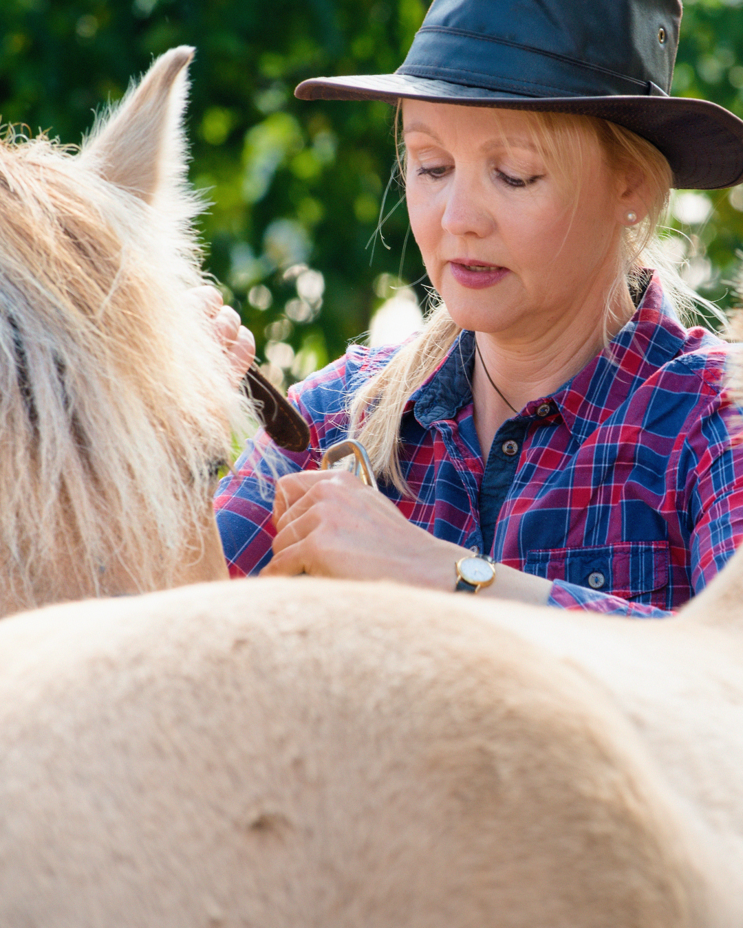 Une femme en colère qui essaie de mettre son licol à son cheval