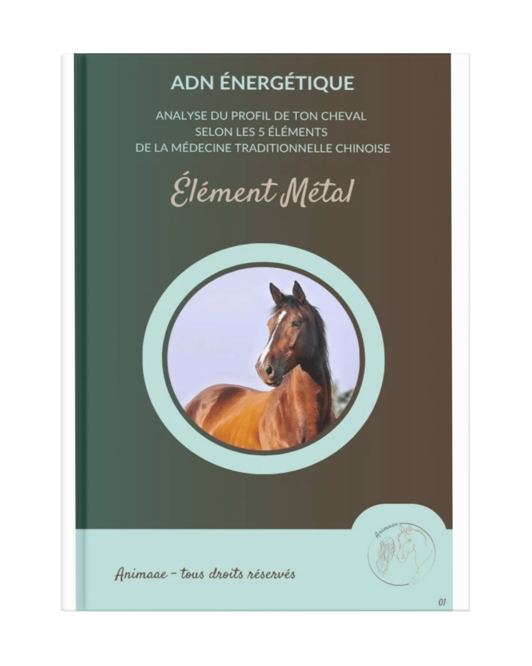 Livret ADN énergétique cheval Métal
