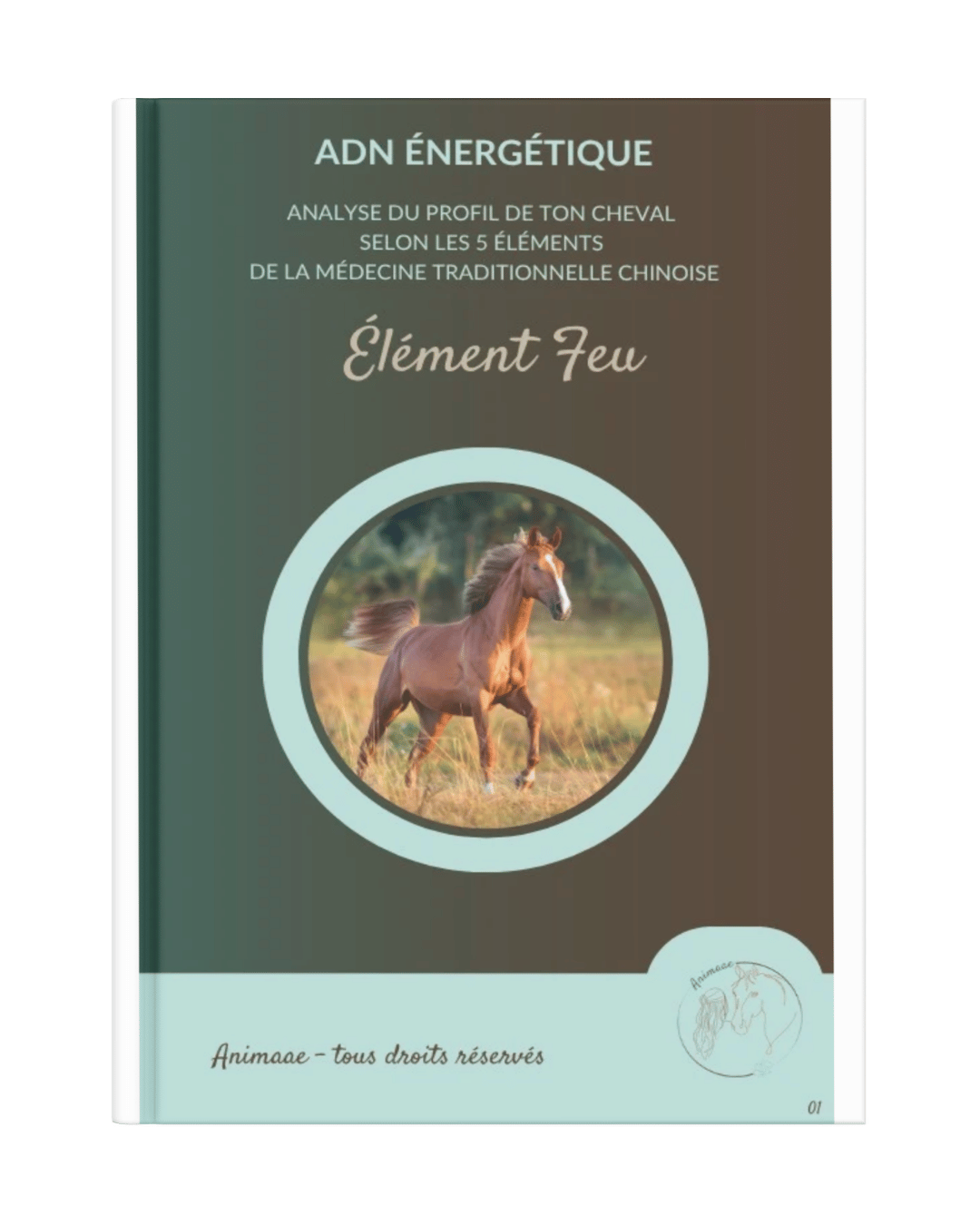 Livret ADN énergétique cheval Feu