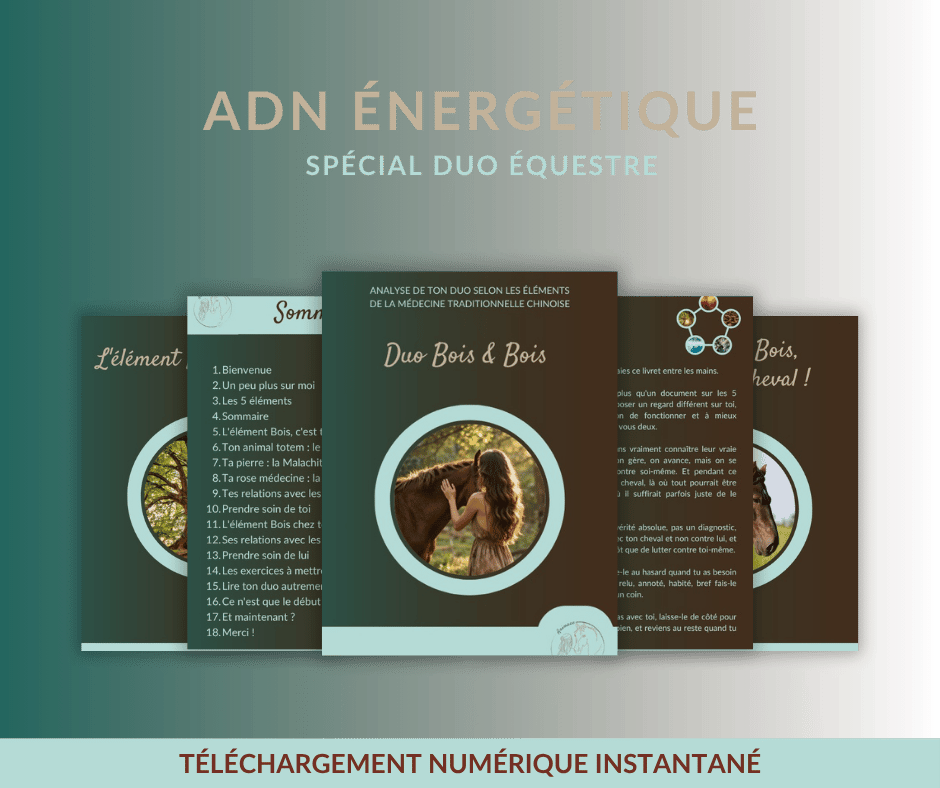 ADN énergétique spécial duo équestre : forces, défis et dynamique entre la femme et son cheval selon les 5 éléments de la médecine traditionnelle  chinoise
