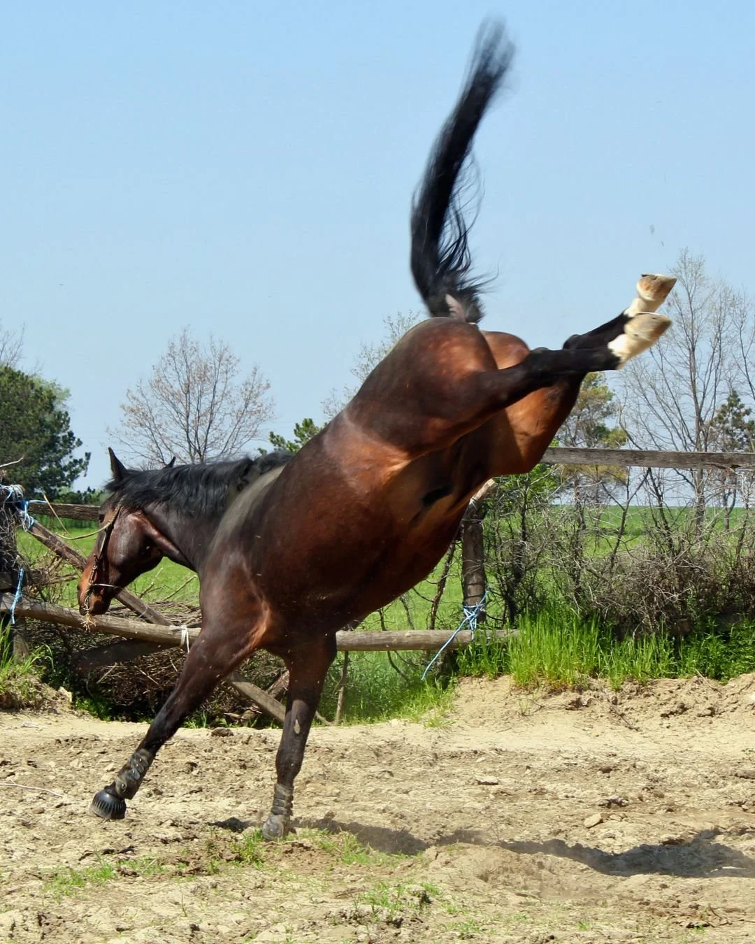 Est-ce qu’en ce moment tu as envie de tout envoyer valser, que ce soit ton boulot, ton mec, ton cheval ou tout le monde en même temps ?
