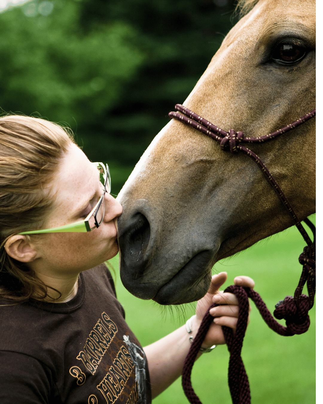 Tout part de toi dans ta vie comme avec ton cheval