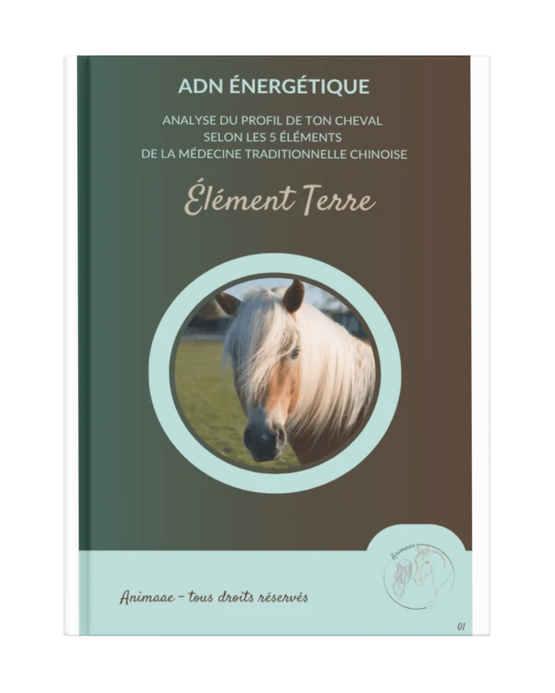 Livret ADN énergétique cheval Terre